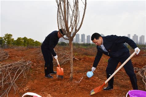 再添新绿 湖南湘江新区开展植树活动 要闻 新湖南