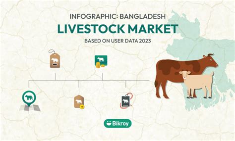 2023 Infographic Livestock Market In Bangladesh Bikroy Blog En