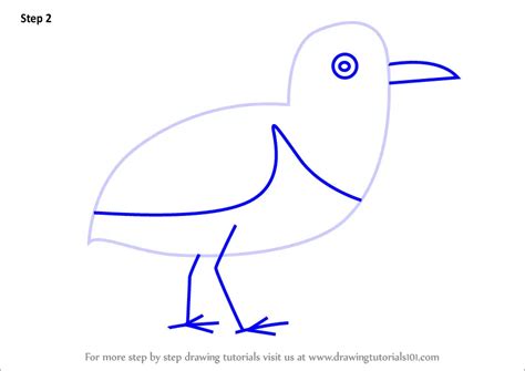 Step By Step How To Draw A Common Sandpiper Bird For Kids