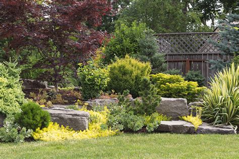 Elements Of Landscape Design Platt Hill Nursery Blog And Advice