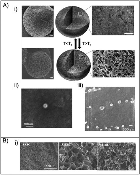 Figure From Bioengineered Elastin And Silk Biomaterials For Drug And