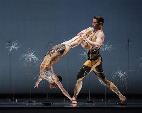 San Francisco Ballet Streams Cutting Edge Work Tonight Paul Duclos Cultural Currents