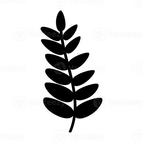 silhouette of black leaf 9906208 PNG