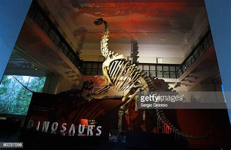 Museum Of Dinosaurs And Ancient Cultures Photos and Premium High Res ...