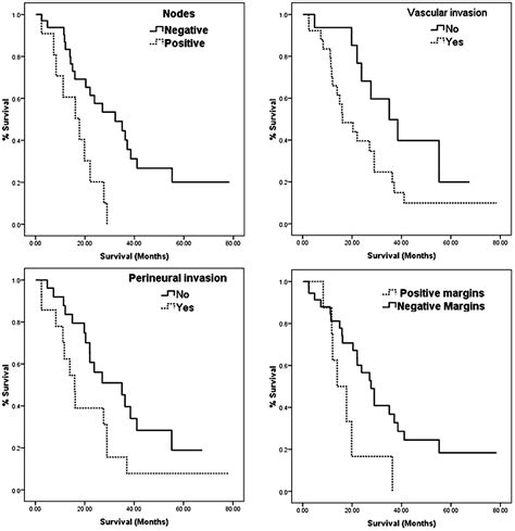 Bile Duct Cancer Survival Rate Stage 4 - CancerWalls