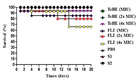 Toxicity Evaluation Of Hydroalcoholic Extract Of T Catappa Leaves In