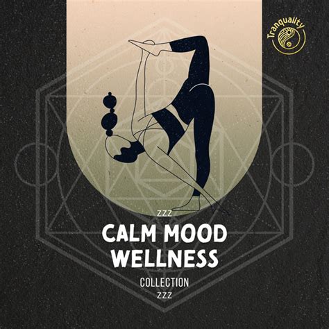 Zzz Calm Mood Wellness Collection Zzz Album By Microdynamic