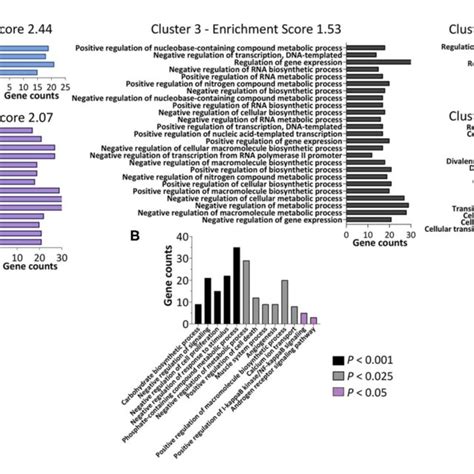 Functional Annotation Clustering Determined Using David Download