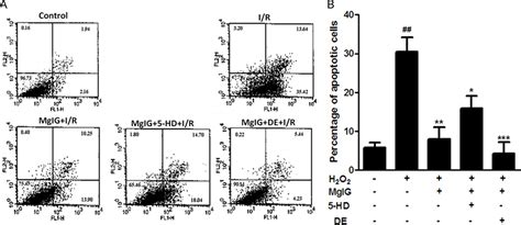 Figure From Magnesium Isoglycyrrhizinate Protects Hepatic L Cells