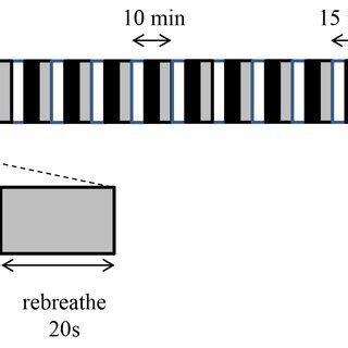 Diagram of the experimental protocol. The apnea breathing cycle ...