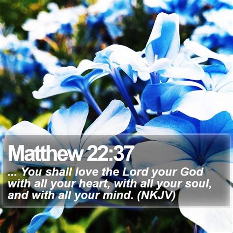 Bible Verse Images About Love