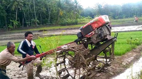 Joki Traktor Tangan Proses Olah Tanah Sawah Pindah Lahan Ll Boxer Quick