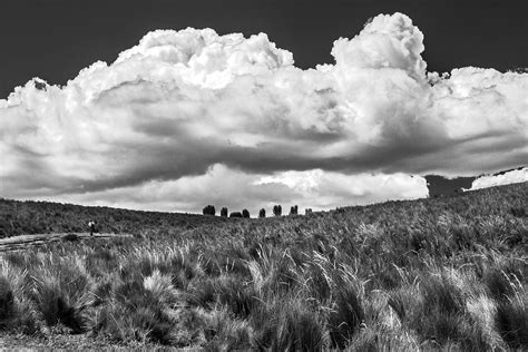 Quito entre ciel et terre Grizzly Montréal