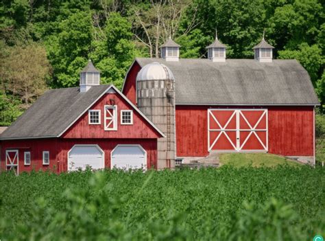 Why Are Barns Painted Red The Reason Might Surprise You