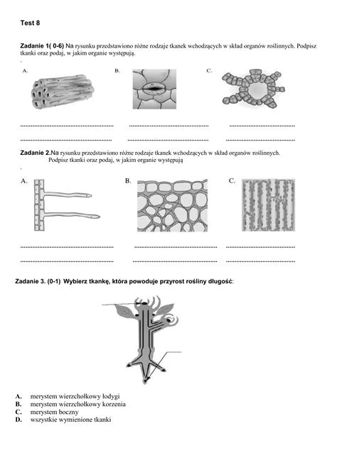 Test 8 Zadanie 1 0 6 Na rysunku przedstawiono różne rodzaje