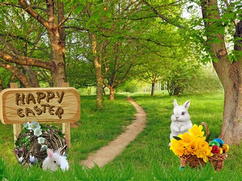 Ostern Grußkarte Osterhase Kostenloses Foto auf Pixabay Pixabay