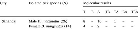 Molecular Prevalence Of The Haemoparasites In The Isolated Ticks From