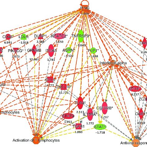 Gsea Reveals The Activation Of A Interferon Gamma Response And B