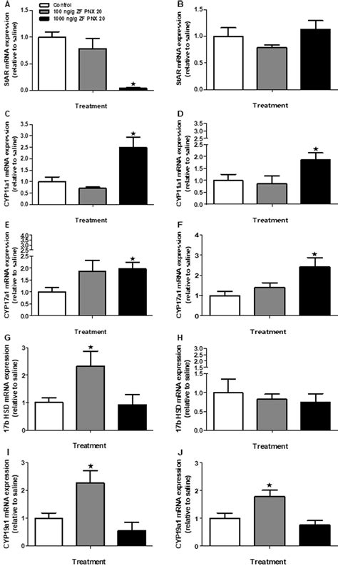 Expression Pattern Of Genes Involved In The Sex Steroidogenic Pathway