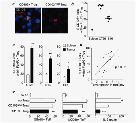 cd   hallmark  tumorinfiltrating regulatory  cells anz