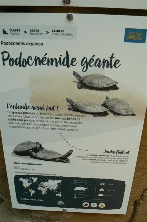 Tropical Dome Arrau River Turtle Signage Zoochat