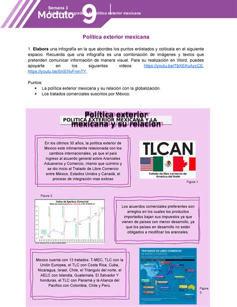 Modulo Semana Actividad Integradora Pol Tica Exterior