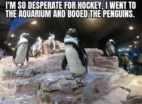 Hockey Memes That'll Make You Laugh Your Way Into The Penalty Box ...