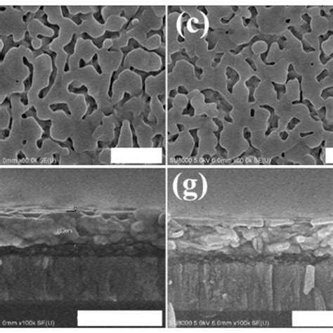 Plane And Cross Section Scanning Electron Microscope Sem Images Download Scientific Diagram