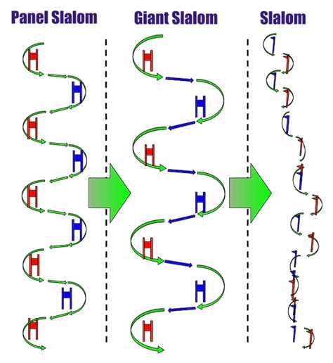 Ski Racing The Gate Progression