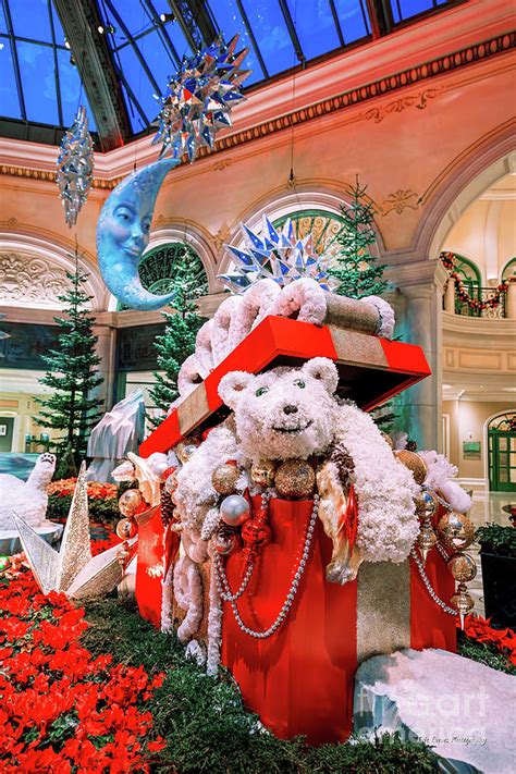 30 ý Tưởng Polar Bear Christmas Decor Trang Trí Giáng Sinh Với Chú