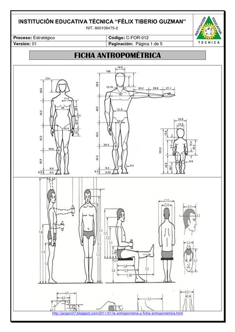 Solution Ficha Antropom Trica Studypool