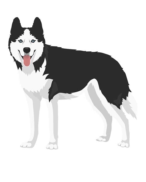 Siberian Husky Svghusy Dog Clipart Vector Art Digital Etsy