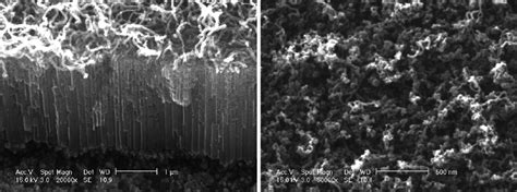 SEM Images Of The CNTs Grown On The Well Ordered Nanoporous Alumina