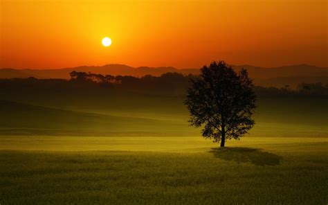 Wallpaper Sunlight Landscape Sunset Hill Nature Field Sunrise