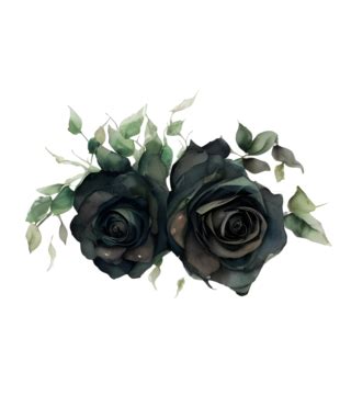 Black Rose Watercolor Details Png Vector Psd And Clipart With