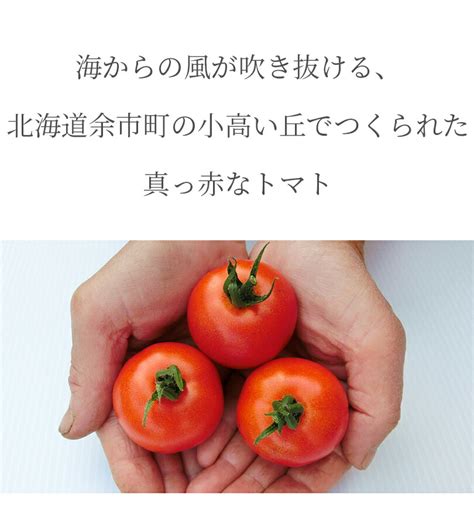 【楽天市場】ストレート トマトジュース 食塩無添加 180ml×5本セット 無塩 野菜ジュース ギフト フルーツトマト 中野ファーム 余市