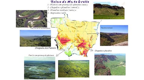 Relevo Do Mato Grosso LIBRAIN