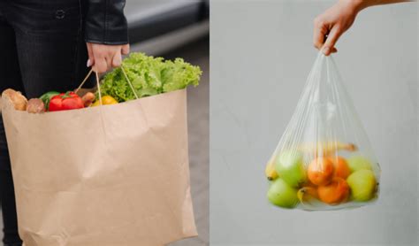 Are Paper Bags More Environmentally Friendly Than Using Compostable