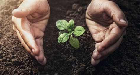 Vivir Seguros anuncia que dejará de invertir en empresas que contaminan