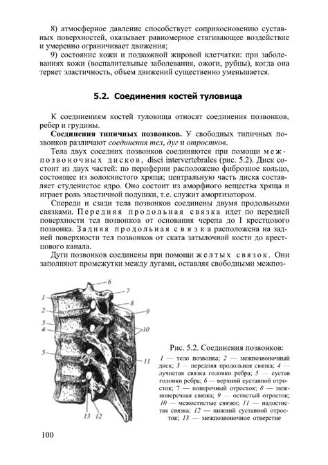 Анатомия и физиология человека - Гайворонский И.В. - 2011