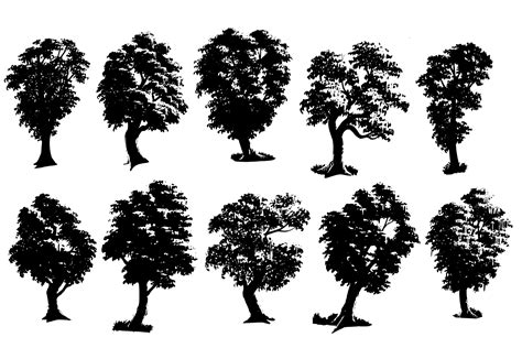 Tree Silhouette Vector Graphic By Cyudeshbuhu · Creative Fabrica