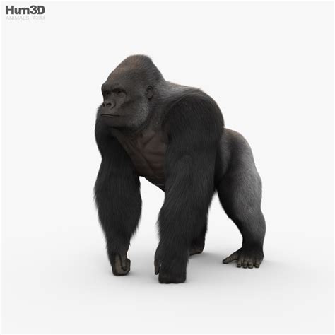 Gorilla Print ready 3D model - Download Mammals on 3DModels.org