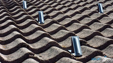 Concrete Tile Roof Maintenance Tips - Eclat Roofing