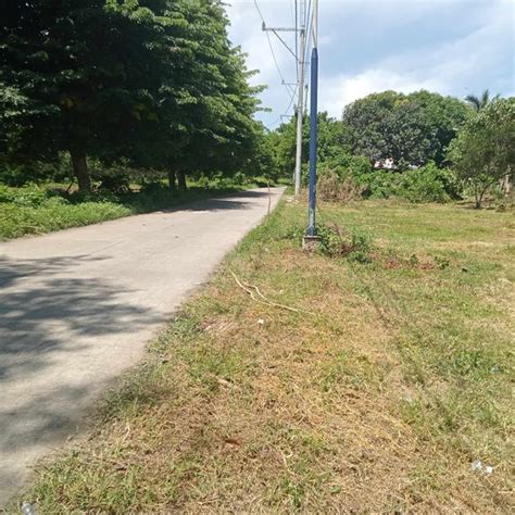 Agricultural Farm Lot For Sale Quezon Quezon Properties August