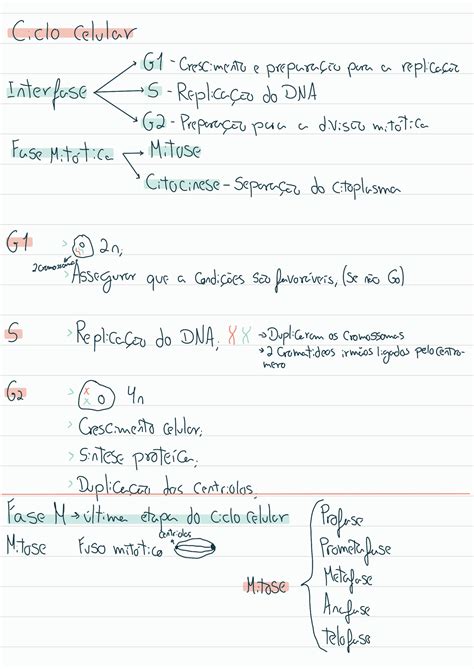 SOLUTION Mitose Resumo Studypool