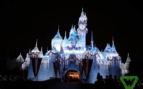 Christmas in Disneyland - Wesley Adventures