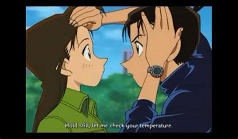 Shinichi And Ran Detective Conan Couples Photo 26441148 Fanpop