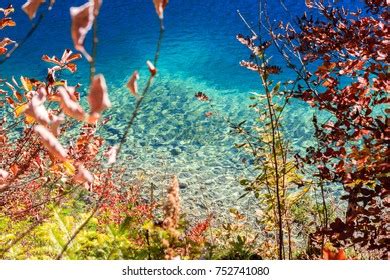 View Alpsee Lakebavaria Germany Stock Photo 752741080 | Shutterstock