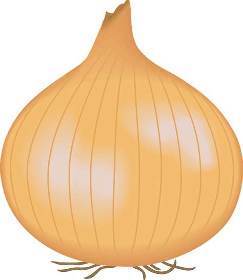 Onions Free Clip Art Library