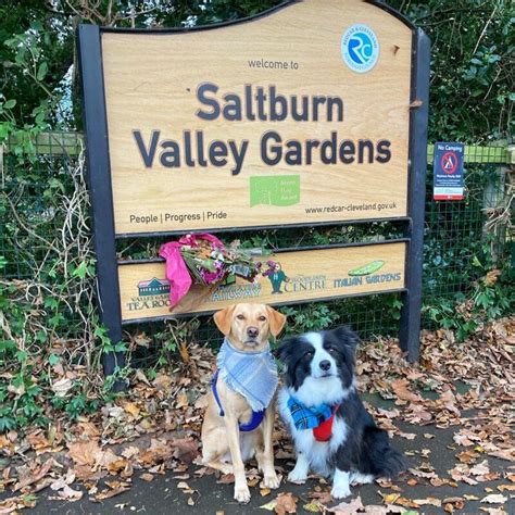 Saltburn Valley Gardens - Dog Furiendly